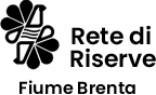 logo-sticky